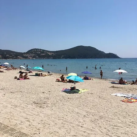 Les Palmiers Διαμέρισμα *